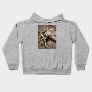 Don't Step on a Crack! Macro Jumping Spider Photograph Kids Hoodie